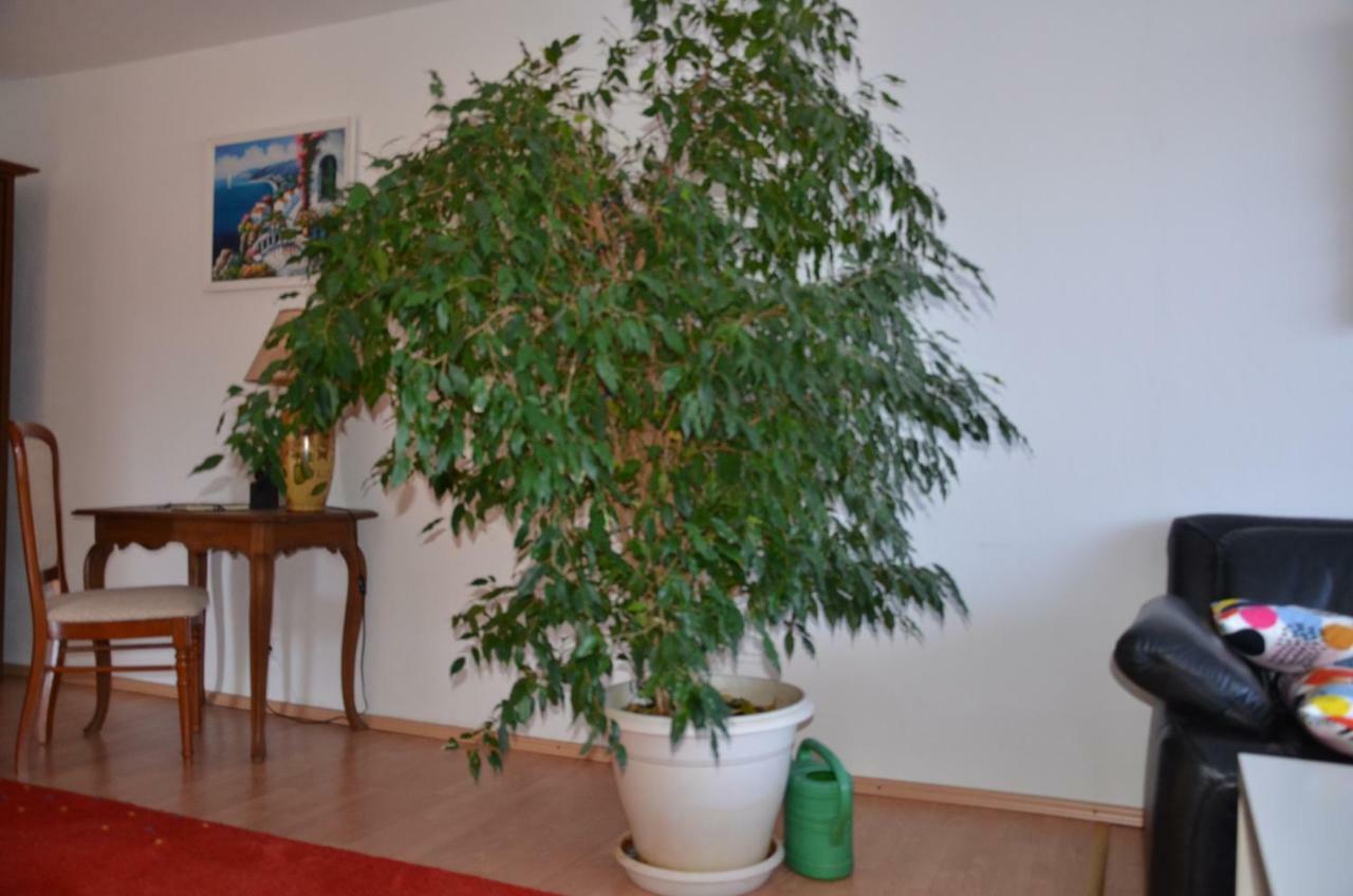 Ferienwohnung Pascale Меттлах Екстер'єр фото